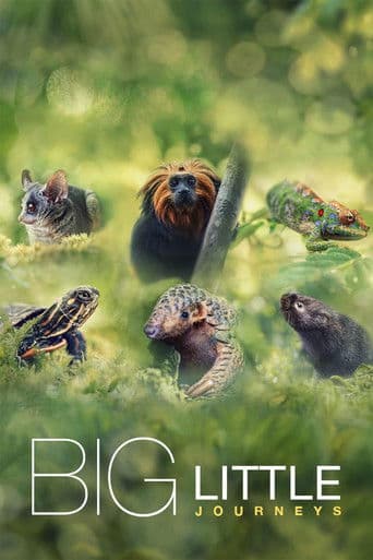 Watch Big Little Journeys free online