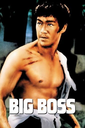 Watch The Big Boss free online
