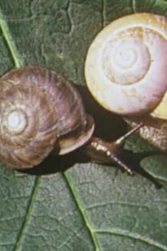 Watch On Closer Inspection free online