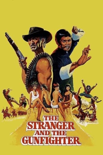 Watch The Stranger and the Gunfighter free online