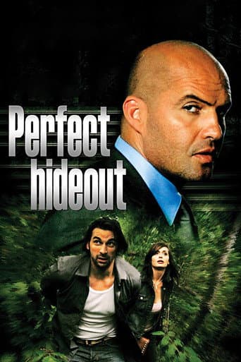 Watch Perfect Hideout free online