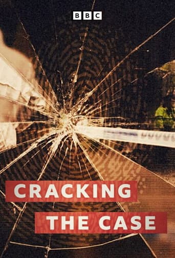 Watch Cracking The Case free online