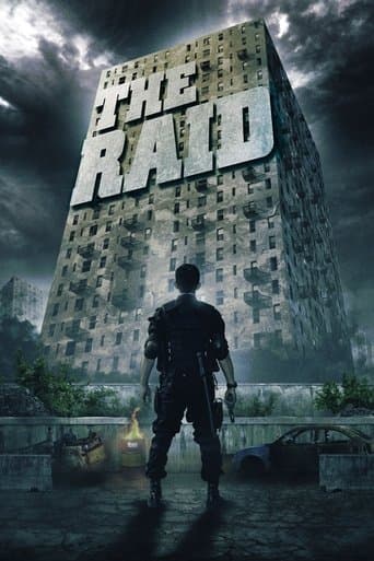 Watch The Raid free online