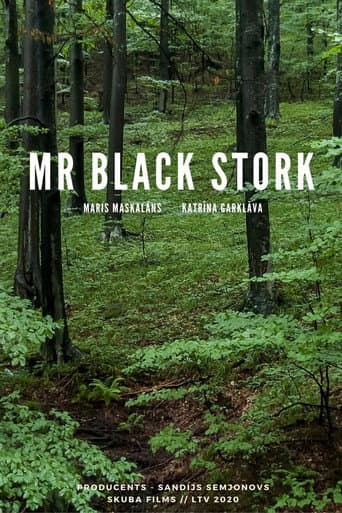 Watch Mr Black Stork free online