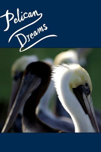 Watch Pelican Dreams free online