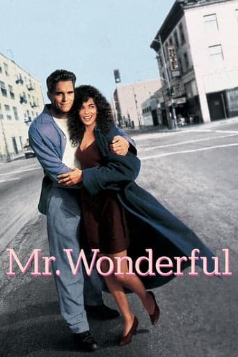 Watch Mr. Wonderful free online