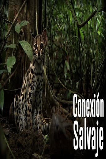 Watch Wild Connection free online