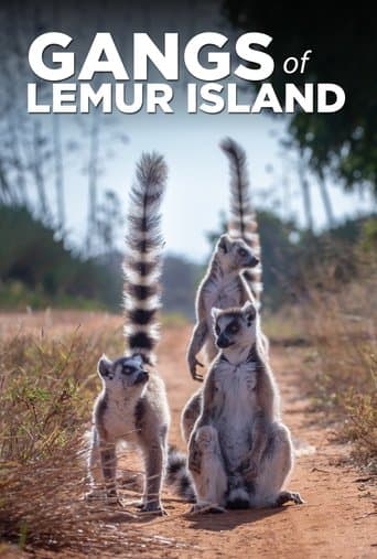 Watch Gangs of Lemur Island free online