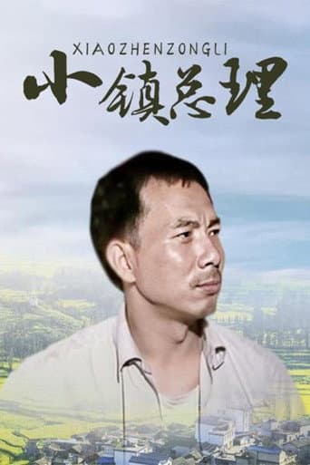 Watch 小镇总理 free online