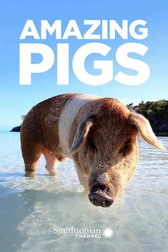 Watch Amazing Pigs free online