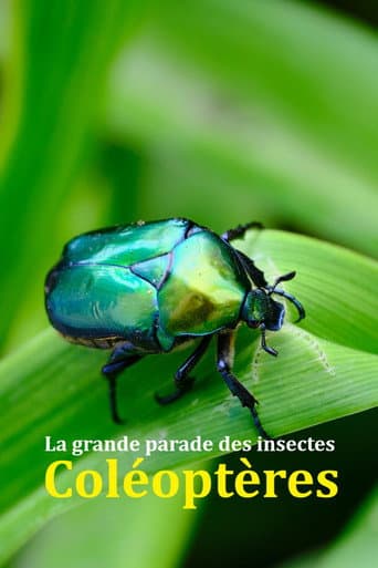 Watch Fabulous Insects - Beetles free online