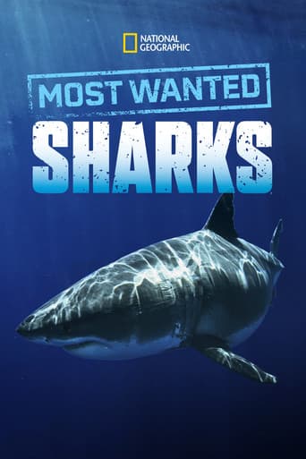 Watch Most Wanted Sharks free online