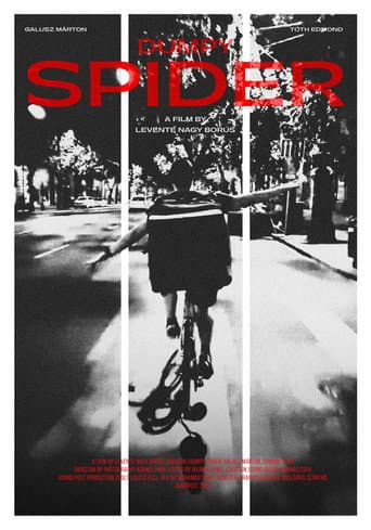 Watch Dumpy Spider free online