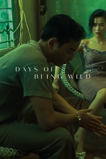 Watch Days of Being Wild free online