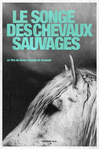 Watch Dream of the Wild Horses free online
