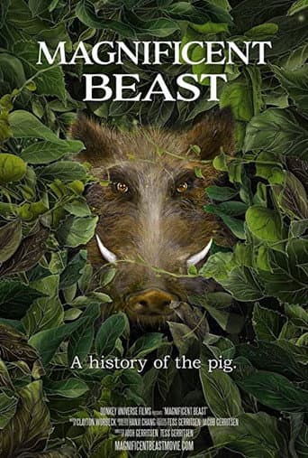 Watch Magnificent Beast free online