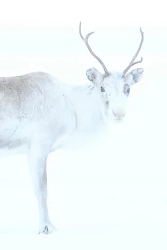Watch Spirit of the Reindeer free online