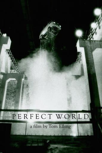 Watch Perfect World free online