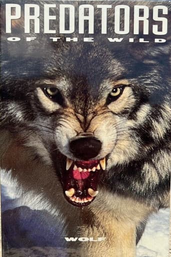 Watch Predators of the Wild: Wolf free online