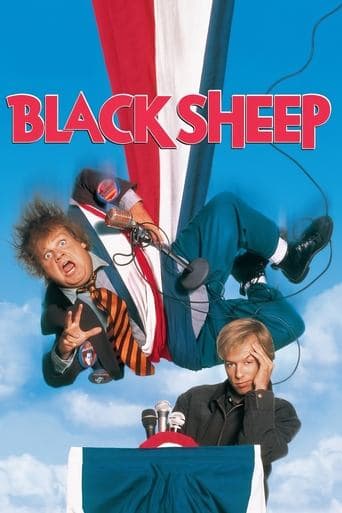 Watch Black Sheep free online