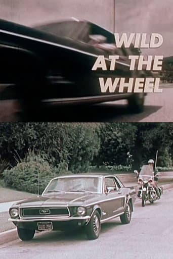 Watch Wild at the Wheel free online