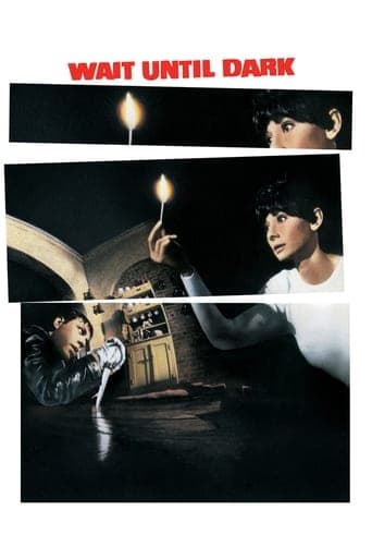 Watch Wait Until Dark free online