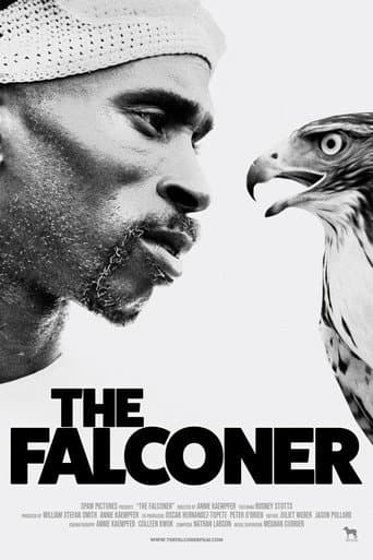 Watch The Falconer free online