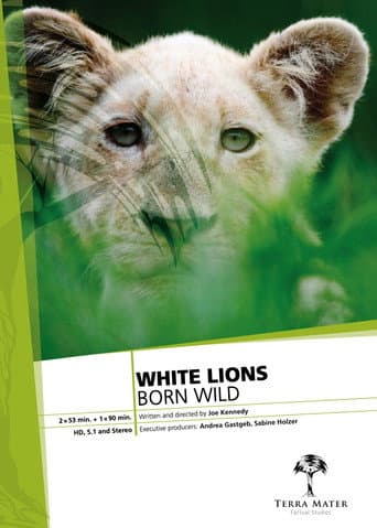 Watch White Lions Born Wild free online