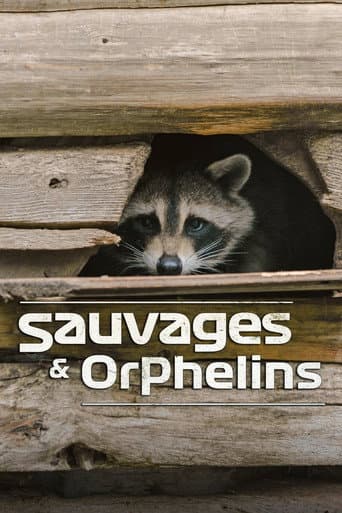 Watch Sauvages et orphelins free online