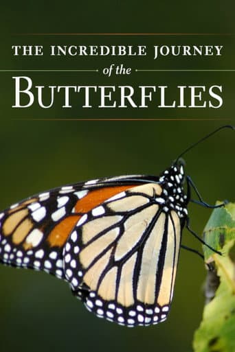 Watch The Incredible Journey of the Butterflies free online