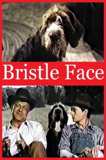 Watch Bristle Face free online