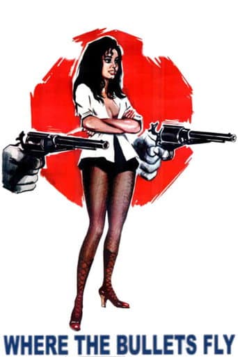 Watch Where the Bullets Fly free online