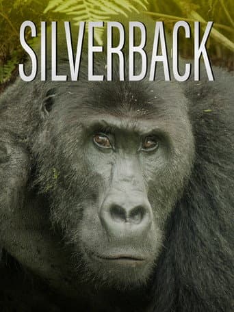 Watch Silverback free online