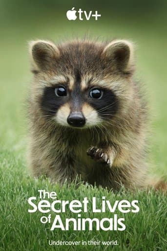 Watch The Secret Lives of Animals free online