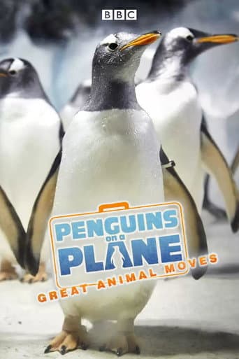 Watch Penguins on a Plane: Great Animal Moves free online
