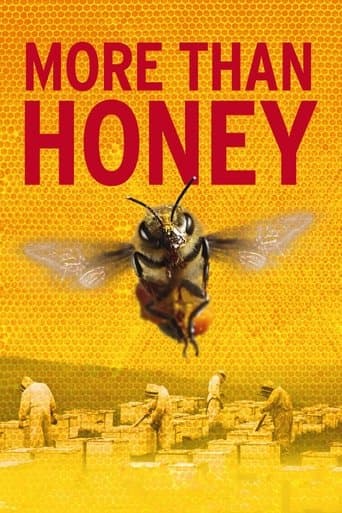 Watch More Than Honey free online
