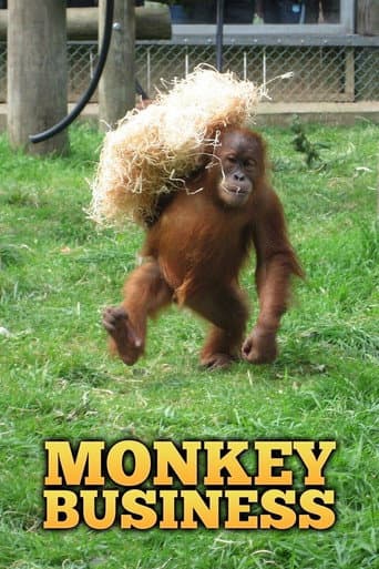 Watch Monkey Business free online