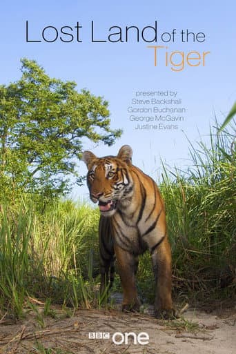 Watch Lost Land of the Tiger free online