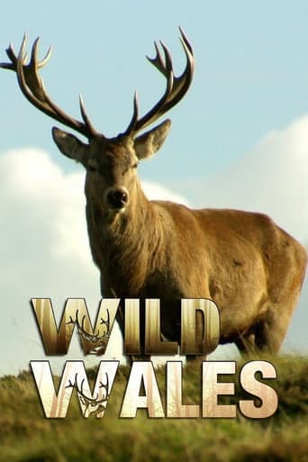 Watch Wild Wales free online