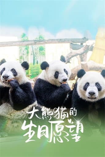 Watch 大熊猫的生日愿望 free online