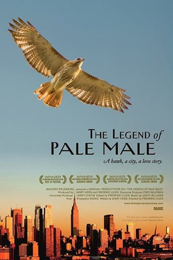 Watch The Legend of Pale Male free online