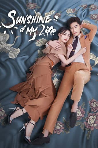 Watch Sunshine of My Life free online