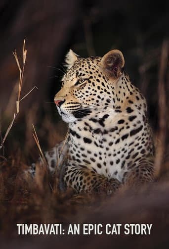 Watch Timbavati: An Epic Cat Story free online