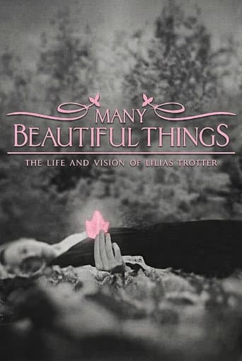 Watch Many Beautiful Things free online