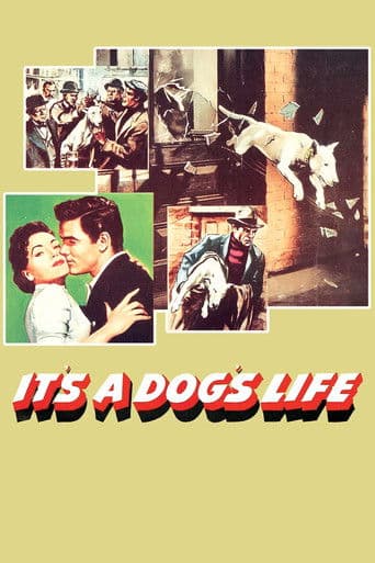 Watch It's a Dog's Life free online