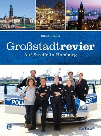 Watch Großstadtrevier free online