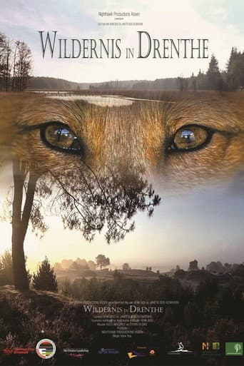 Watch Wildernis in Drenthe free online