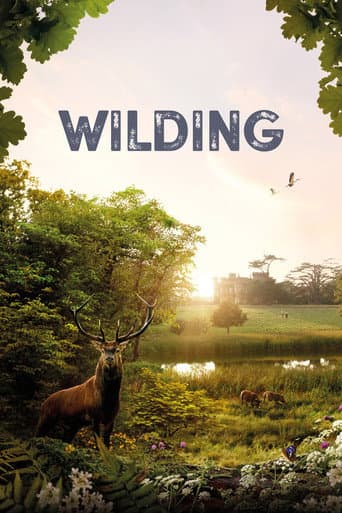 Watch Wilding free online