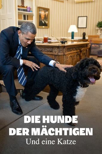 Watch Die Hunde der Mächtigen - und eine Katze free online