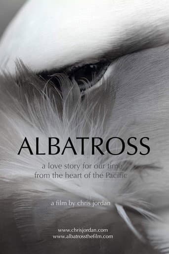 Watch Albatross free online